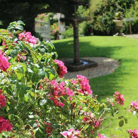 Dunmore Gardens 4* Carrigans